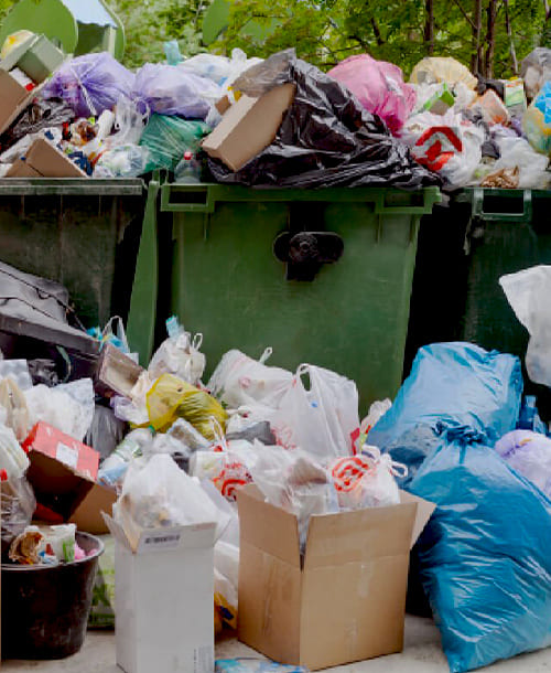 trash box services